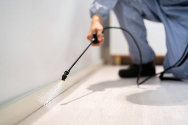 Licensed Termite Control service in Jeffersonville, OH - Nex Pest Control