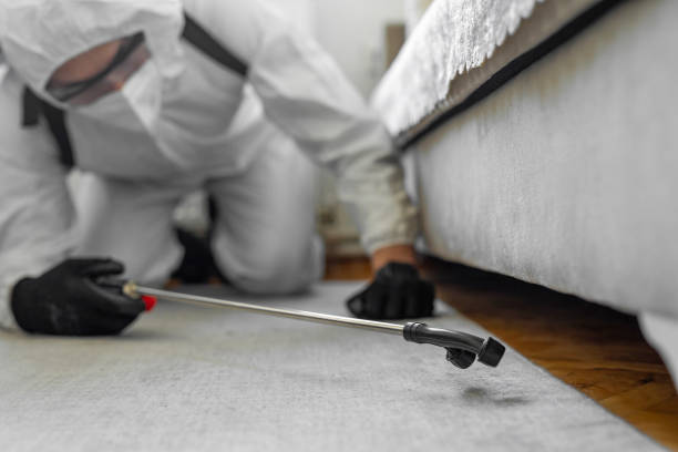 Professional Termite Control technician working in Jeffersonville, OH