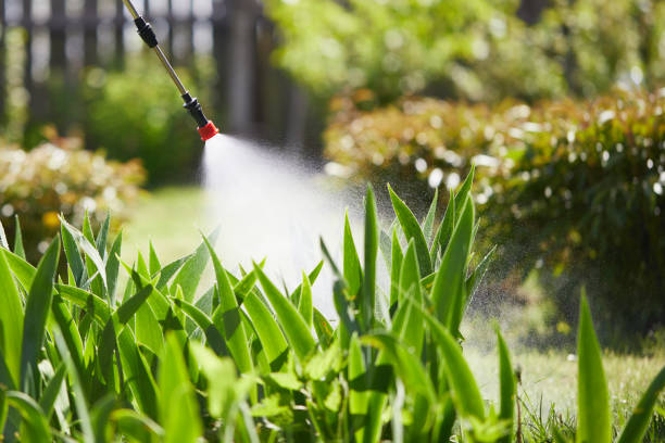 24/7 Emergency Termite Control experts in Jeffersonville, OH