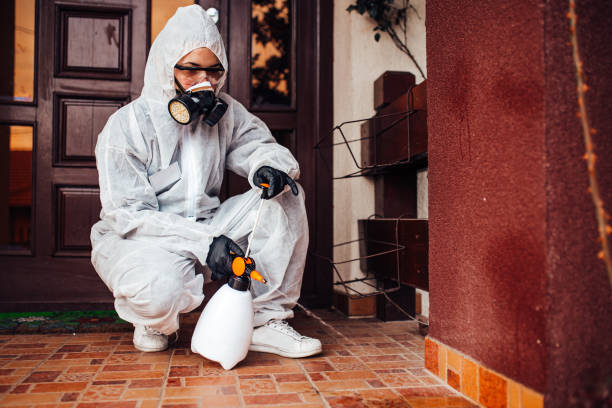 Reliable Termite Control contractor in Jeffersonville, OH by Nex Pest Control
