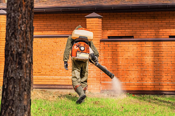 Trusted Termite Control service in Jeffersonville, OH - Nex Pest Control